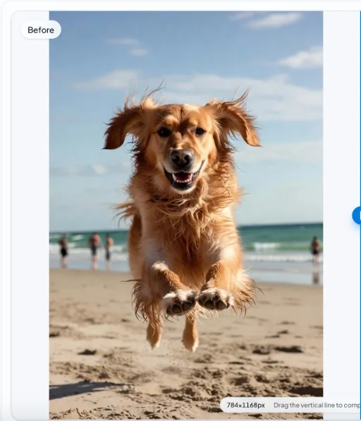 nobg.eu app: before—golden retriever mid-jump on beach with ocean background